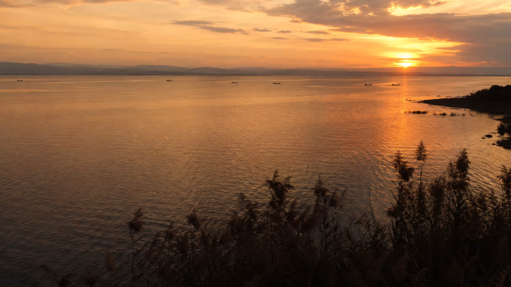 Lake Victoria at golden hour from the Kisumu shoreline, Kenya