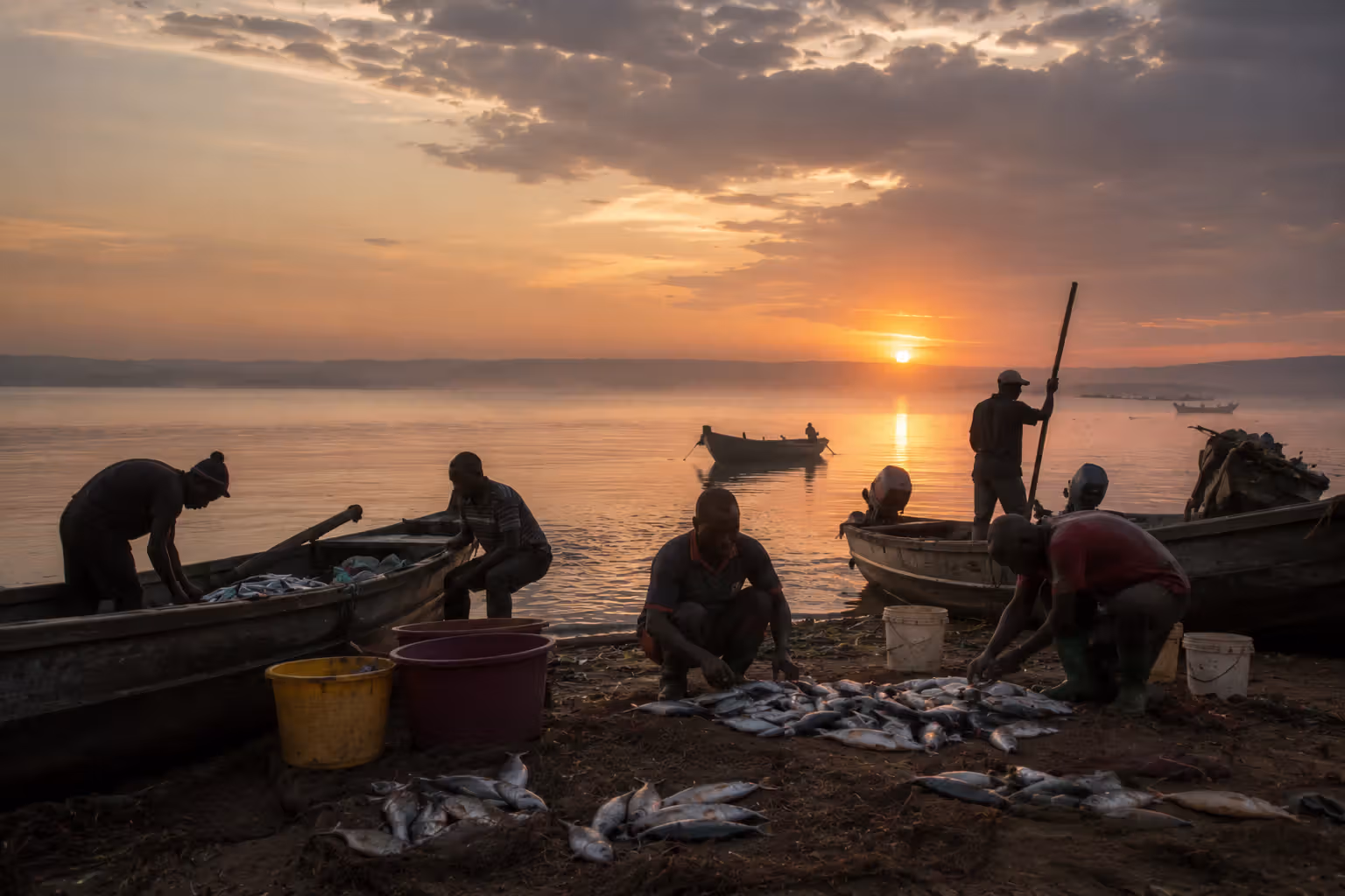 Fishermen sorting their catch at Dunga Beach on Lake Victoria at dawn, Kisumu